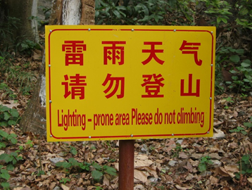 language-oasis-lightning